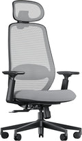 ProtoArc EC200 Sedia da ufficio ergonomica per la casa, sedia da scrivania girevole, poggiatesta 3D regolabile e supporto lombare, seduta scorrevole per un comfort di oltre 8 ore, Grigio